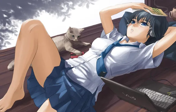 Picture cat, girl, anime, laptop