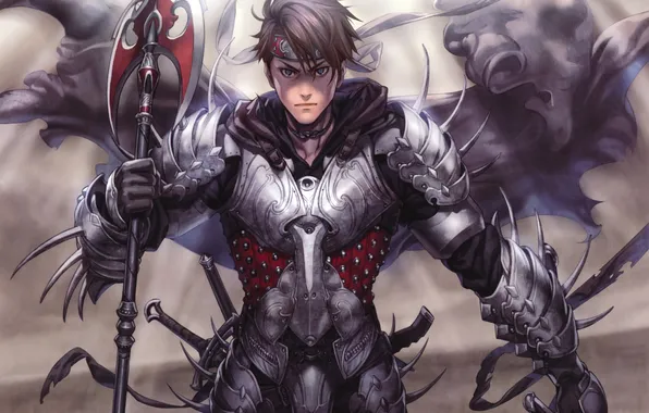 Armor, anime, headband, guy, cloak, swords, spear