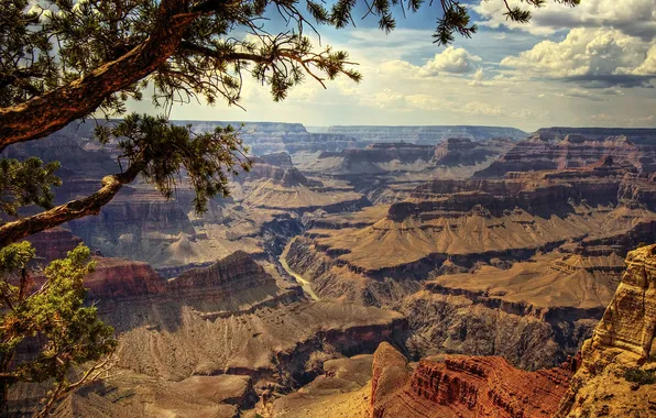 Nature, river, rocks, canyon, the Grand Canyon, outliers