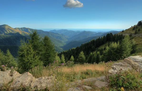 Forest, mountains, France, horizon