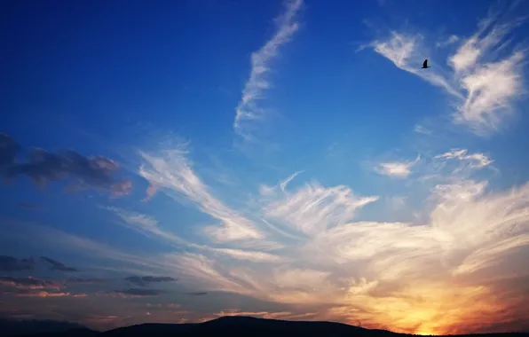 Sunset, The sky, Mountains, Bird, Beauty, Landscape, Mesmerizing