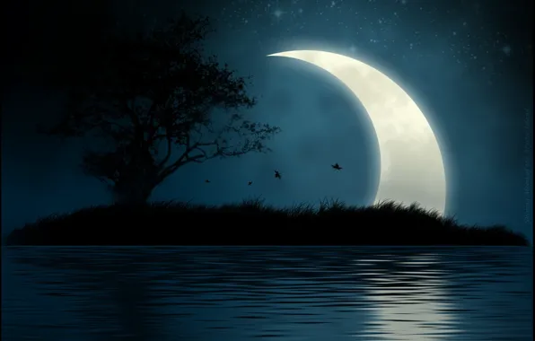 Water, night, island, The moon
