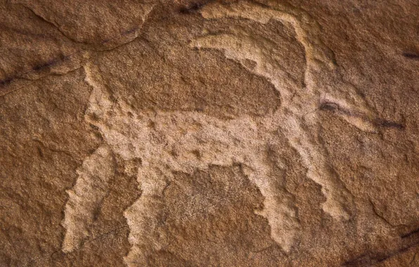 Picture stone, antiquity, Nevada, petroglyphs