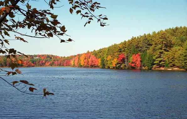 Autumn, USA, Massachusetts