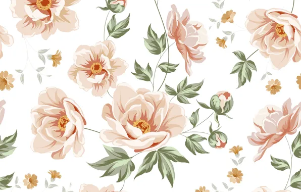 White, flowers, background, texture