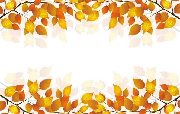 Picture autumn, leaves, sprig, white background