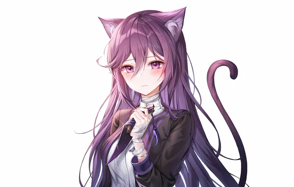 Girl, school uniform, long hair, animal ears, anime, catgirl, beautiful, ribbons