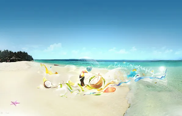 Sea, beach, bird