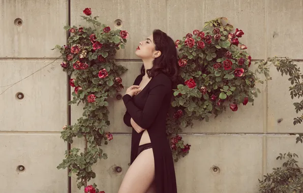 Picture girl, flowers, face, wall, panties, dress, profile, legs