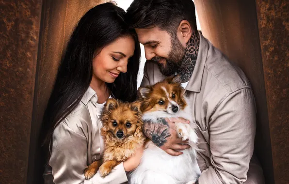 Dogs, woman, puppies, pair, male, Pets