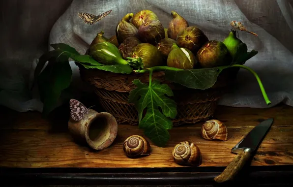 Leaves, butterfly, the dark background, food, knife, fabric, shell, still life