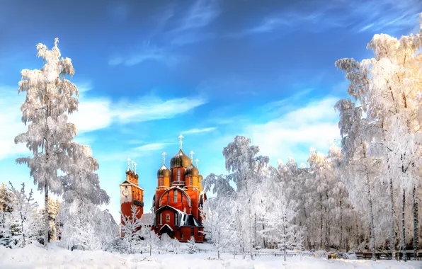 Picture winter, snow, Saint Petersburg, temple