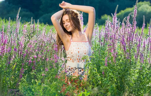 Picture field, summer, flowers, mood, girl