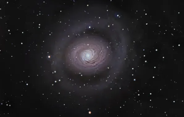 Galaxy, spiral, in the constellation, Beagle Dogs, M 94