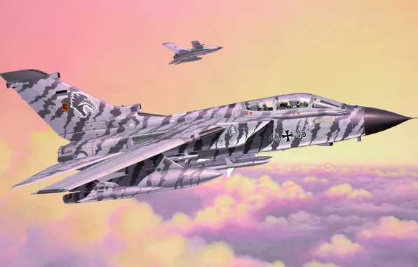Figure, art, fighter-bomber, Panavia, Tornado, combat jet aircraft with variable sweep wing, The German air …