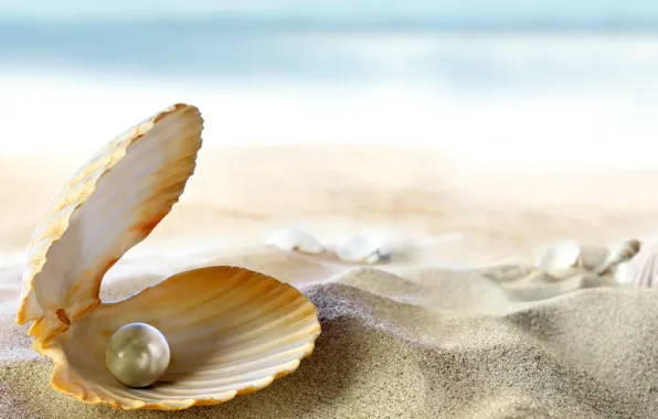 Picture sand, sea, beach, the sun, tropics, the ocean, shell, beach, sand, seashell, pearl, perl