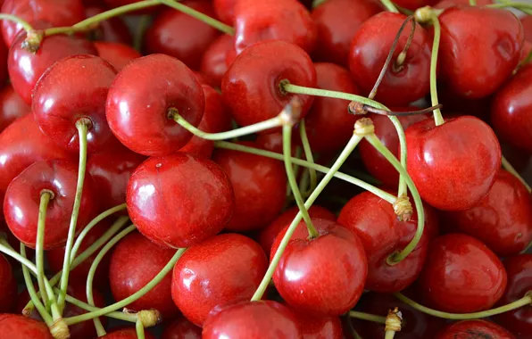Macro, cherry, berries, red, a lot, cherry, bokeh, petioles