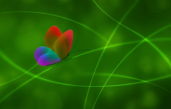 Line, green, color, Butterfly