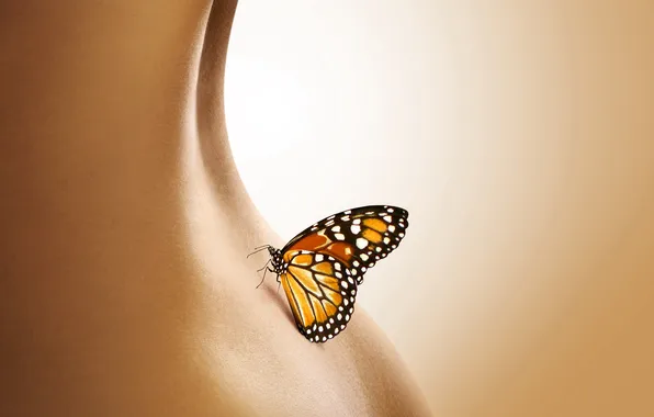 Picture ass, girl, macro, background, butterfly, back