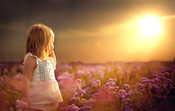 Picture field, summer, the sun, flowers, girl
