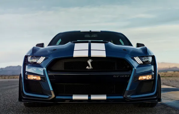Picture blue, Mustang, Ford, Shelby, GT500, front view, 2019