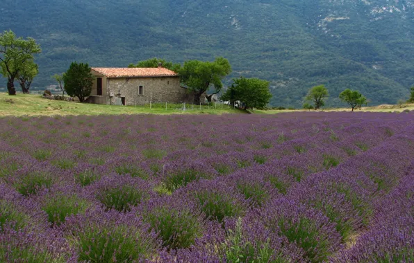 France, Nature, Mountains, Trees, House, House, Nature, France