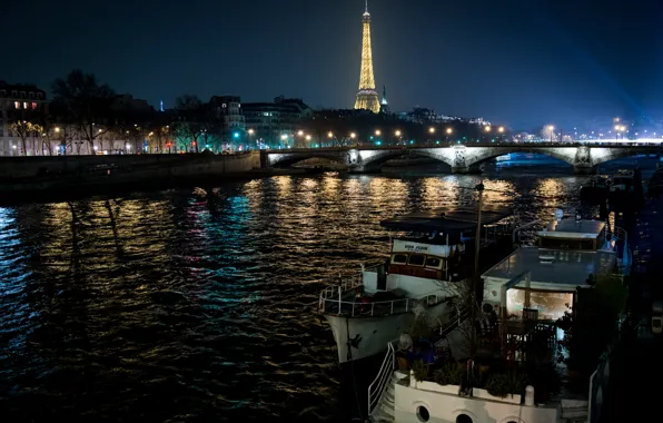 Trees, night, bridge, lights, river, France, Paris, home
