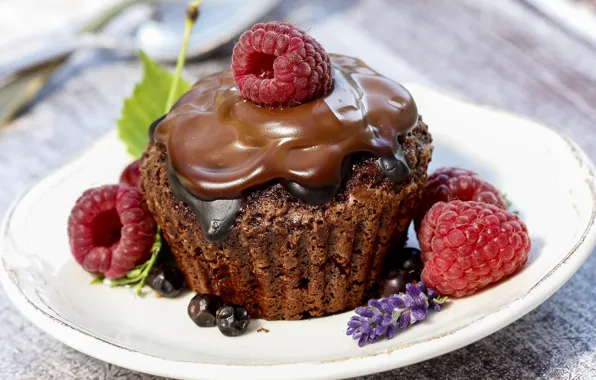 Raspberry, chocolate, dessert, lavender, muffin