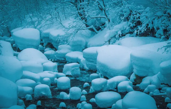 Winter, Stream, Snow, River, Frost