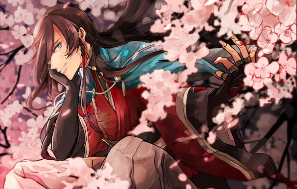 Flowers, spring, Sakura, guy, Touken Ranbu, Dance Of Swords, Izumi from Kami Kanesada