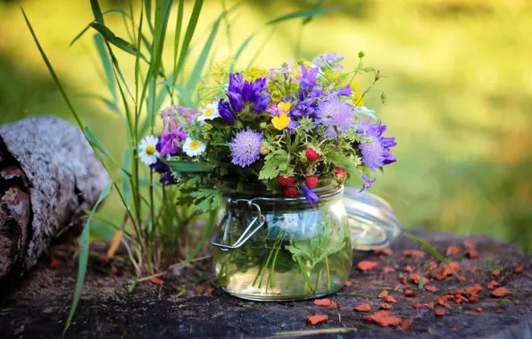 Picture grass, strawberries, wildflowers, bark