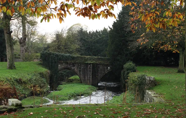 Picture bridge, bridge, nature, leaves, fall, foliage, Autumn, autumn