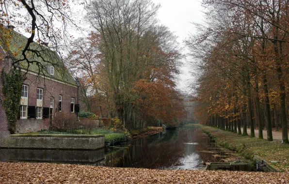 Autumn, Trees, Channel, Park, Fall, Foliage, Park, Autumn