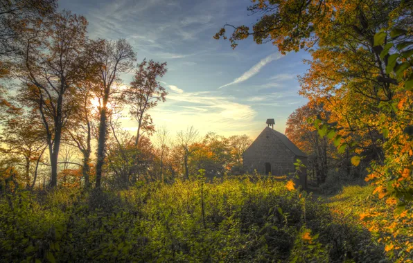 Picture autumn, forest, the sky, clouds, trees, Church, sunlight