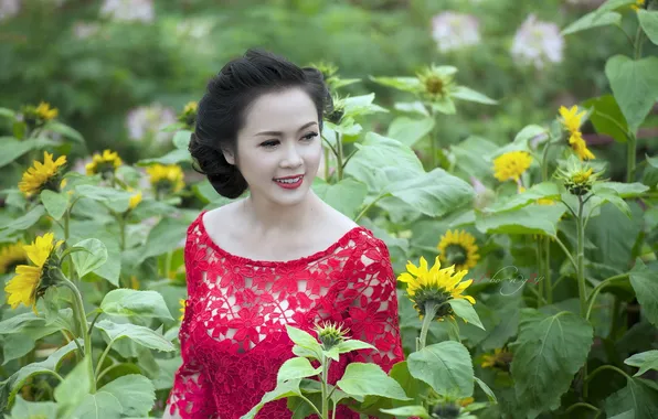 Girl, sunflowers, background