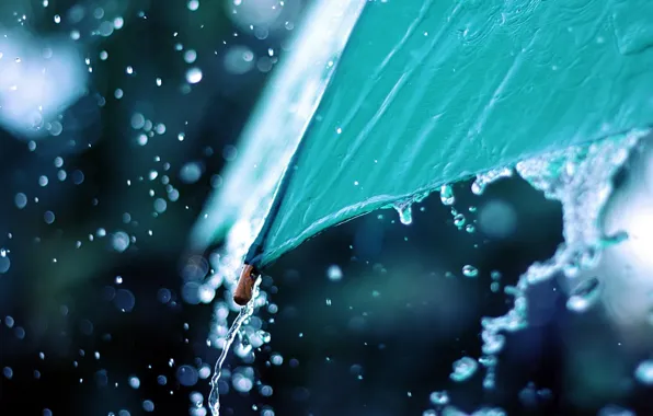 Water, macro, photo, rain, umbrella