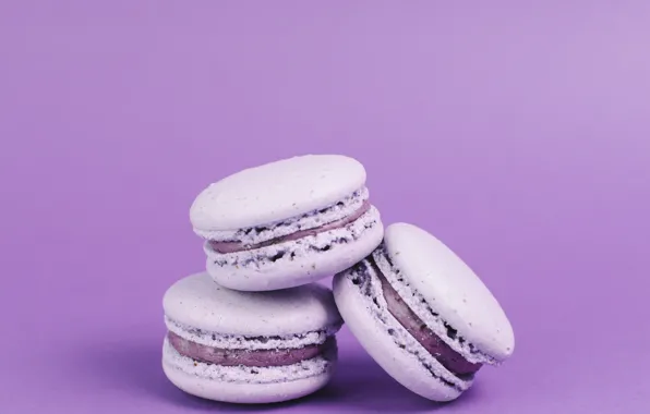 Cookies, violet, macaroons, Sweet, Dessert, almond