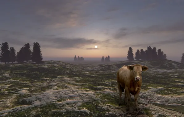 Field, the sky, clouds, trees, nature, fog, rendering, hills