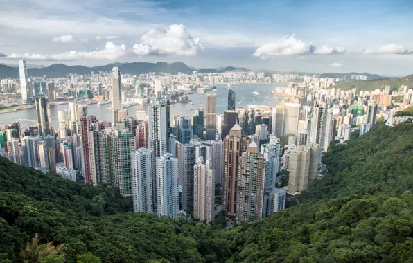 Picture the city, mountain, skyscrapers, panorama, Hong Kong, Victoria Peak