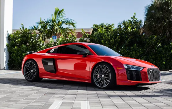 Audi, V10, HRE, r8, Whiils