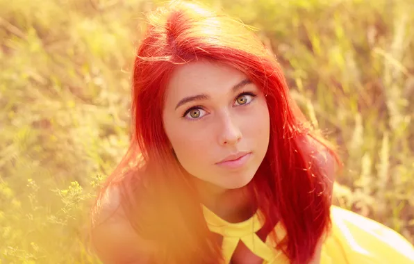 Field, look, girl, yellow, dress, looks, red hair