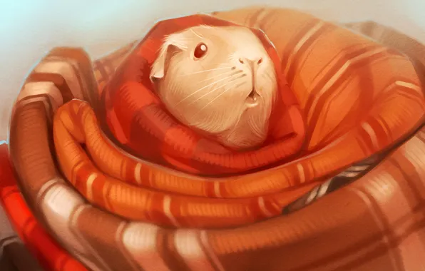 Picture art, blanket, Guinea pig, cavy