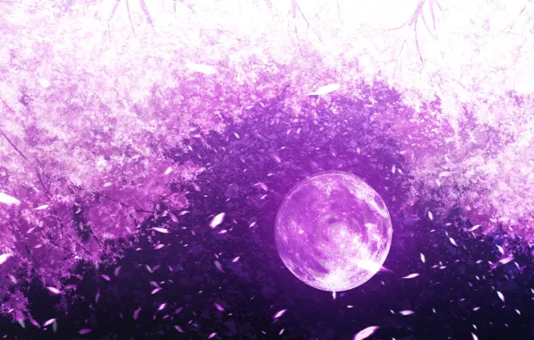 The sky, water, night, reflection, the moon, Sakura
