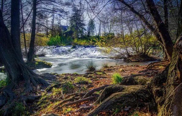 Picture autumn, trees, river, stream