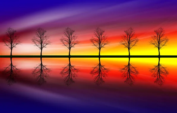 Color, trees, reflection, Trees