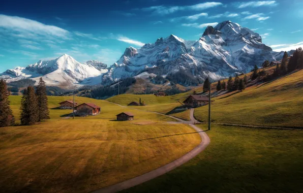 Road, trees, mountains, Switzerland, village, houses, Switzerland, meadows