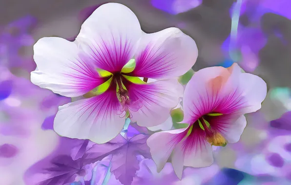 Macro, line, flowers, petals, garden