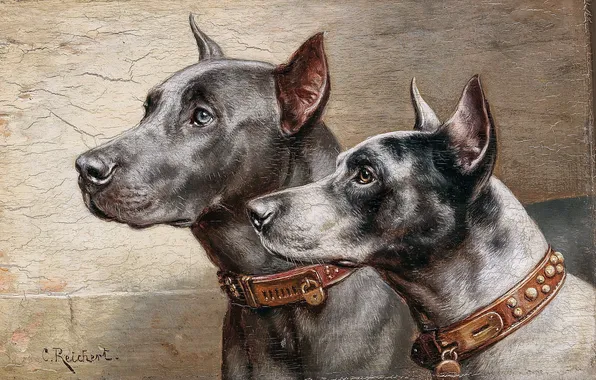 Look, Picture, Dogs, Two, Muzzle, Carl Reichert, Carl Reichert, Austrian artist