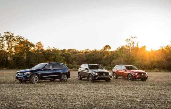 Field, Mercedes-Benz, three, GLC 300, 4MATIC AMG