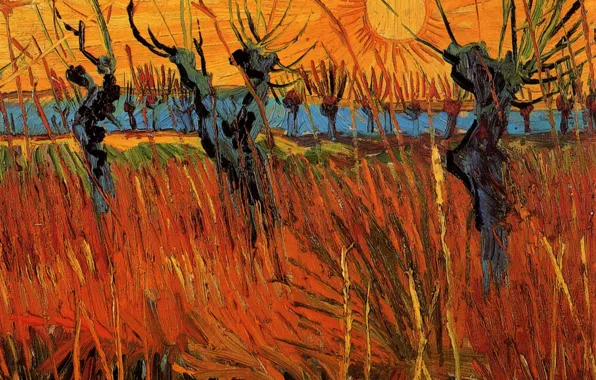 The sun, trees, Vincent van Gogh, Willows at Sunset